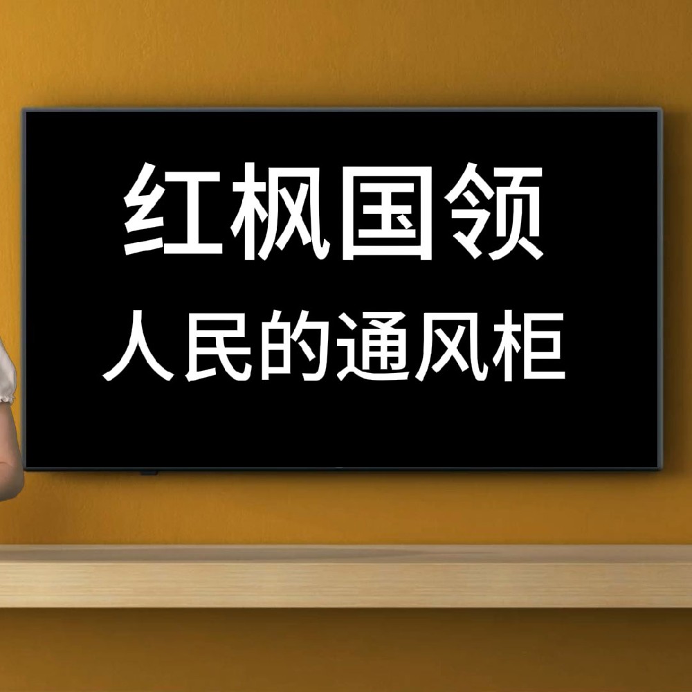 前有人民的名义，现有人民的理发师，未来我们是人民的通风柜